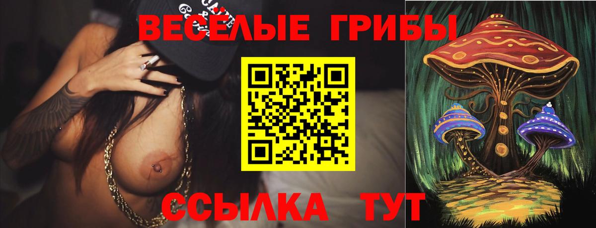 Галлюциногенные грибы Magic Shrooms  Вход с VPN  Сухой Лог  Псилоцибиновые грибы Psilocybe 