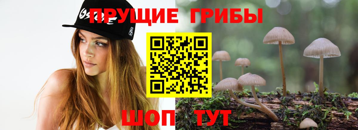 Псилоцибиновые грибы MAGIC MUSHROOMS Сухой Лог